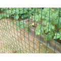 Square iron wire grid net pvc welded wire mesh net light green